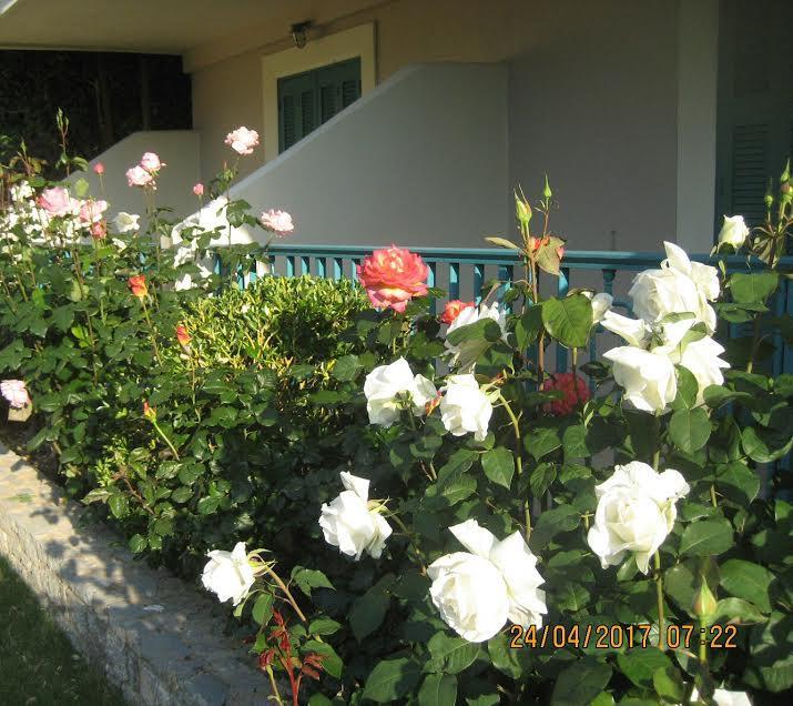 Kyveli Hotel Apartments Vrontados Ngoại thất bức ảnh