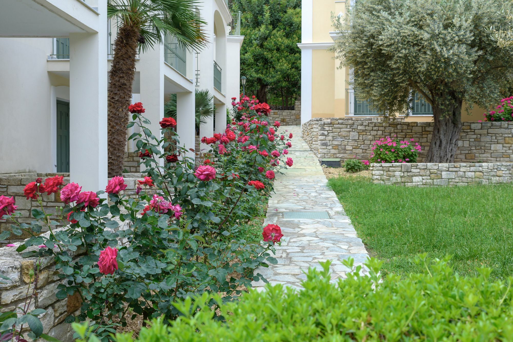 Kyveli Hotel Apartments Vrontados Ngoại thất bức ảnh